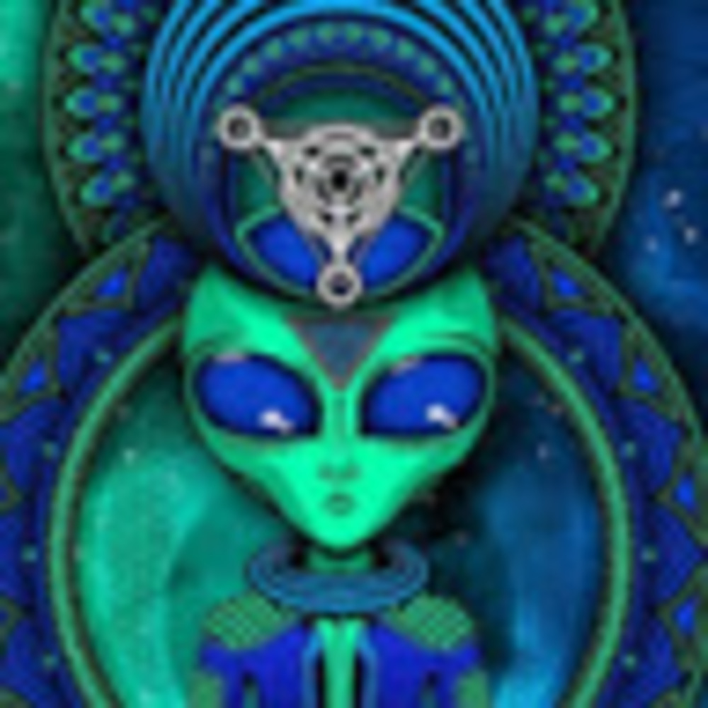 Meet your Posher, Elin